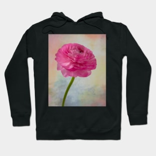 Soft pink Textured Ranunculus Hoodie